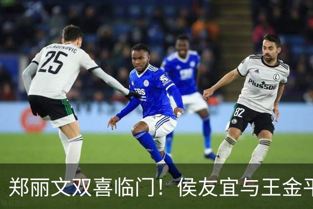 郑丽文双喜临门！侯友宜与王金平联合发力，蓝营面临挑战